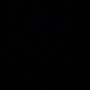 Meet your Posher, Andre